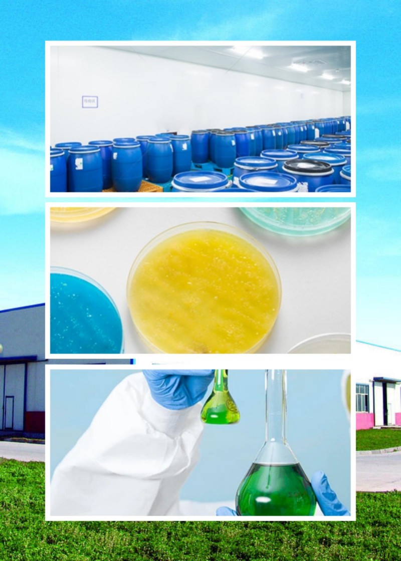 Diphenylhydrazon Diphenylhydrazon